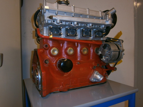[Afbeelding: P7030040.JPG]